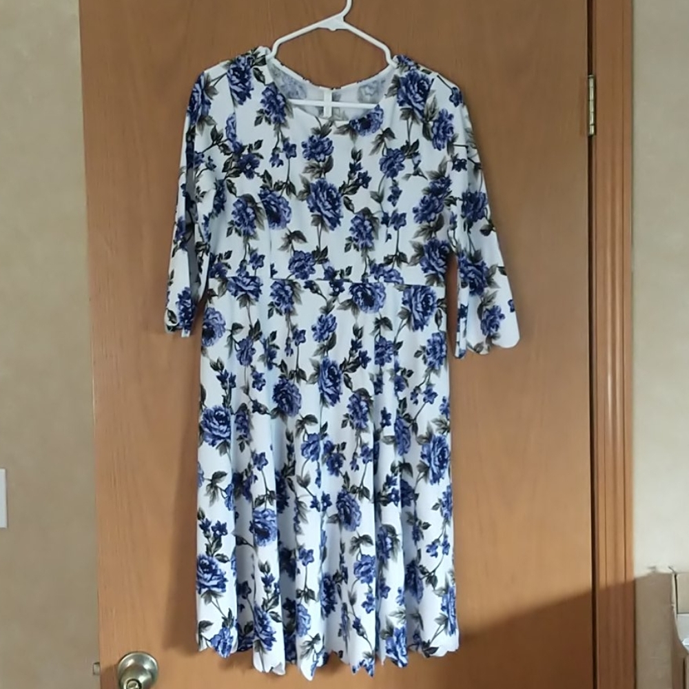 BNWT Blue floral PinkBlush Maternity dress
